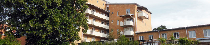 Second slide image